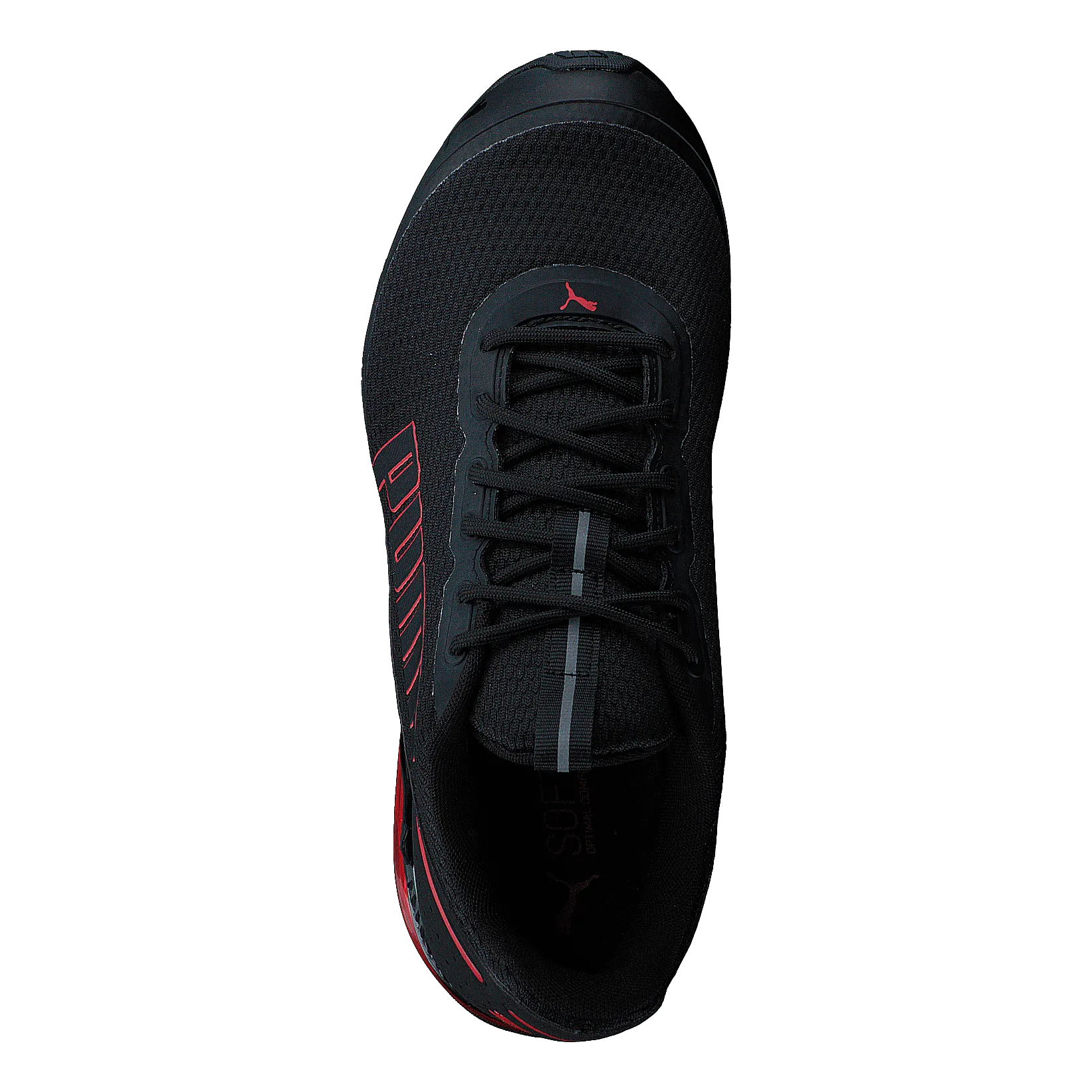 Cell Divide Puma Black-high Risk Red