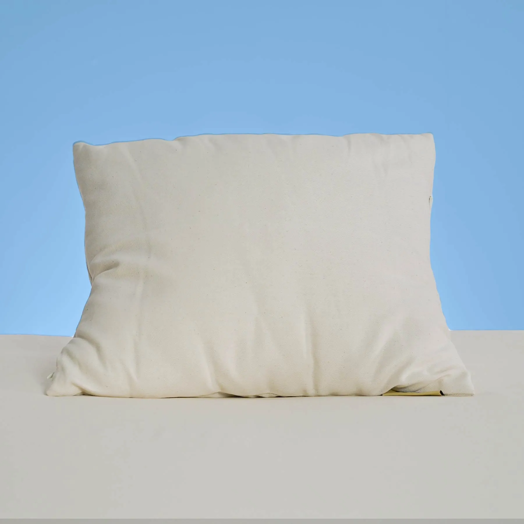 EDGERTON Organic Wool Bed Pillow (Handmade in USA, Organic New Zealand Wool) (Chemical-free)